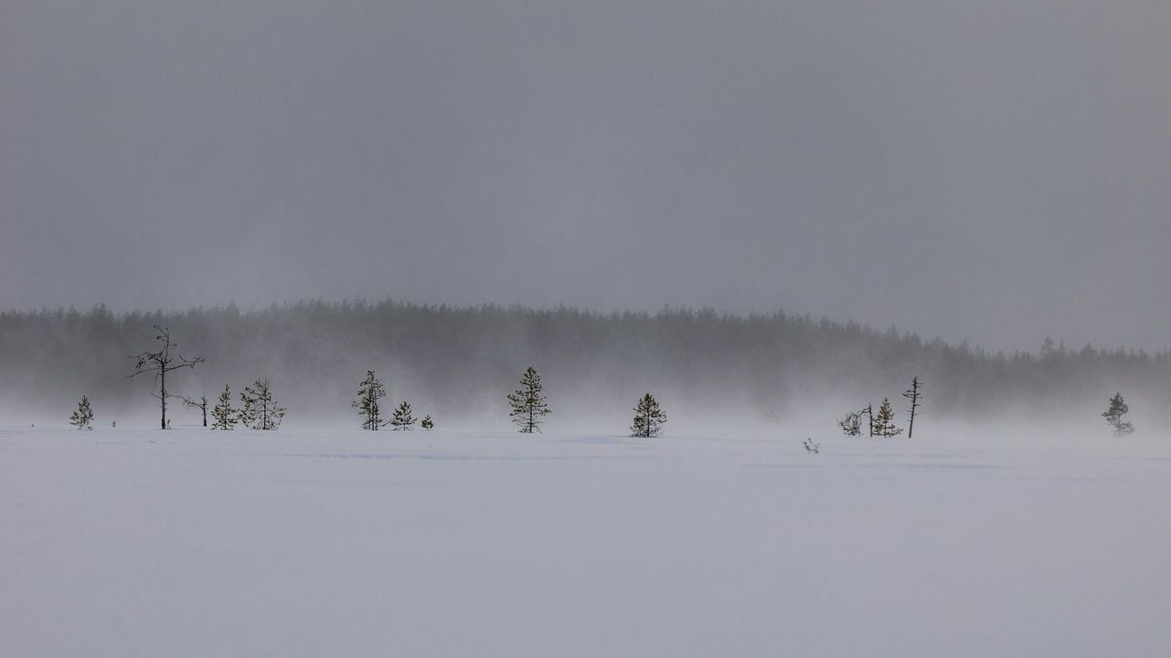 Heavy Snow Warning in Colorado, Wyoming as 30 Inches To Hit: 'Hazardous'