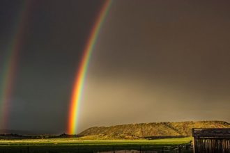 Tried to catch yesterday's rainbow when lightning (graciously) photobombed my iPhone shot [OC]