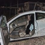 Horrifying inferno crash kills woman on 10 Freeway as vigilantes hunt down suspect sprinting away
