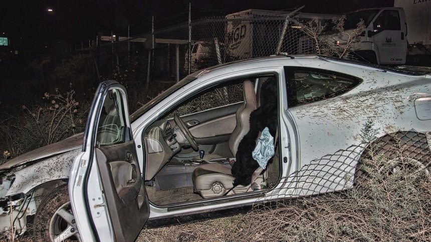 Horrifying inferno crash kills woman on 10 Freeway as vigilantes hunt down suspect sprinting away