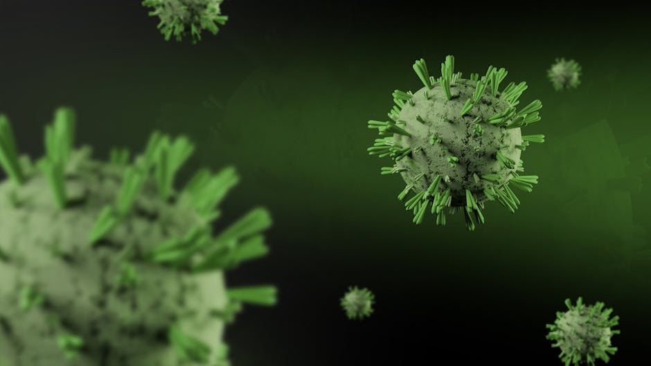 WHO says confirmed hantavirus cases from cruise ship has risen to 5, including 2 passengers evacuated Wednesday