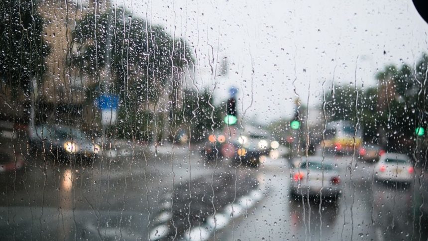 Warm, windy day for DC area with midweek rain