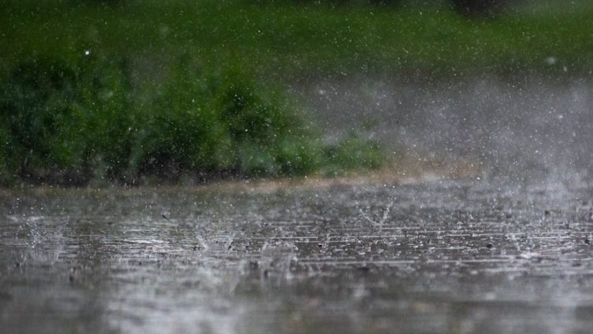 April Showers My A** (South Carolina)