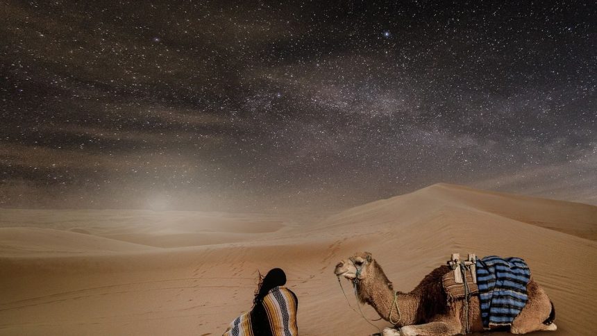 Finding Stillness: The Growing Trend of Meditation and Mindfulness in the Desert