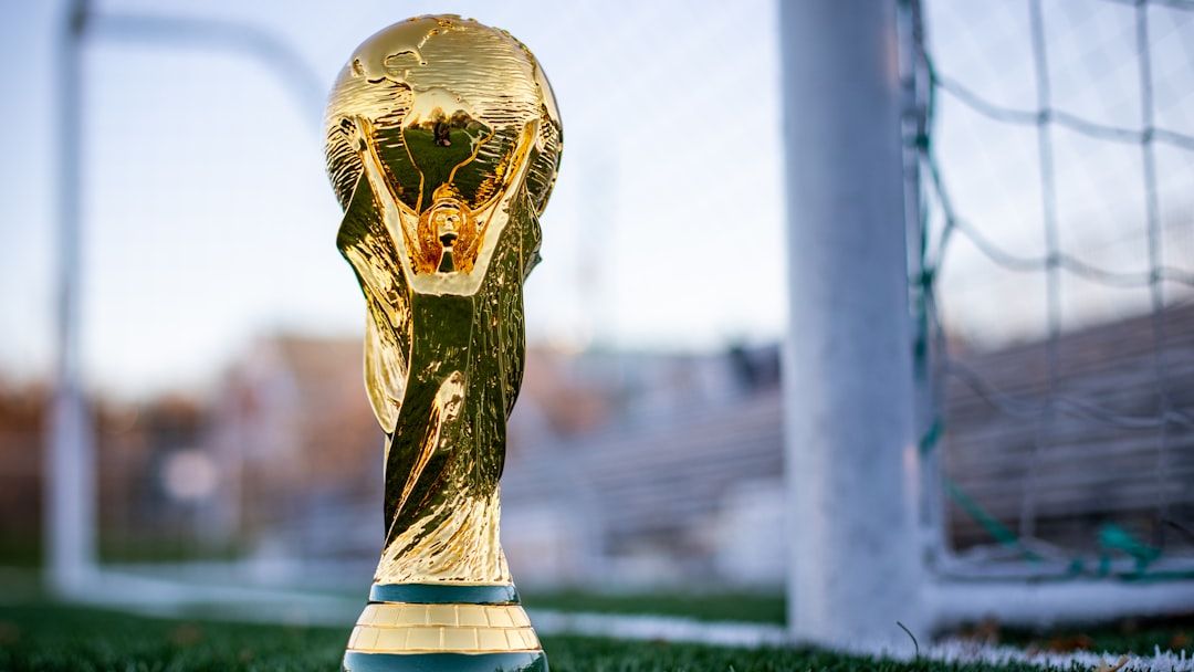 Fans say buying FIFA World Cip tickets has become costly and confusing