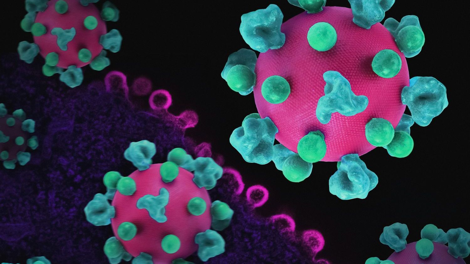 California among 3 states monitoring residents who were aboard hantavirus cruise ship