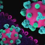 CDC classifies Hantavirus outbreak as 'Level 3' emergency response