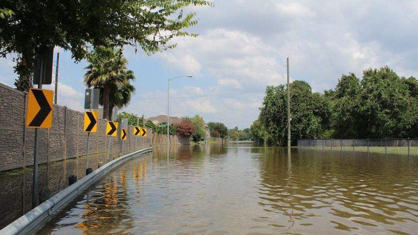 ABC13 Weather Watch: Storms could flood Houston-area streets on Friday