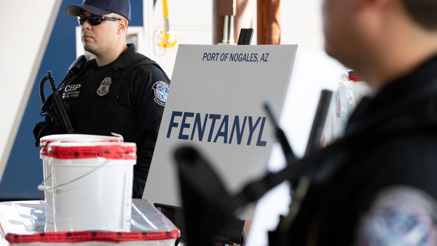 Florida high school teacher arrested after fentanyl, cocaine found in backpack on campus: CCSO