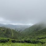 Classic Valley Fog on Vis