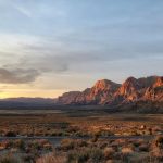 Planet X's art remains an outworldly Nevada treasure