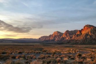 Planet X's art remains an outworldly Nevada treasure