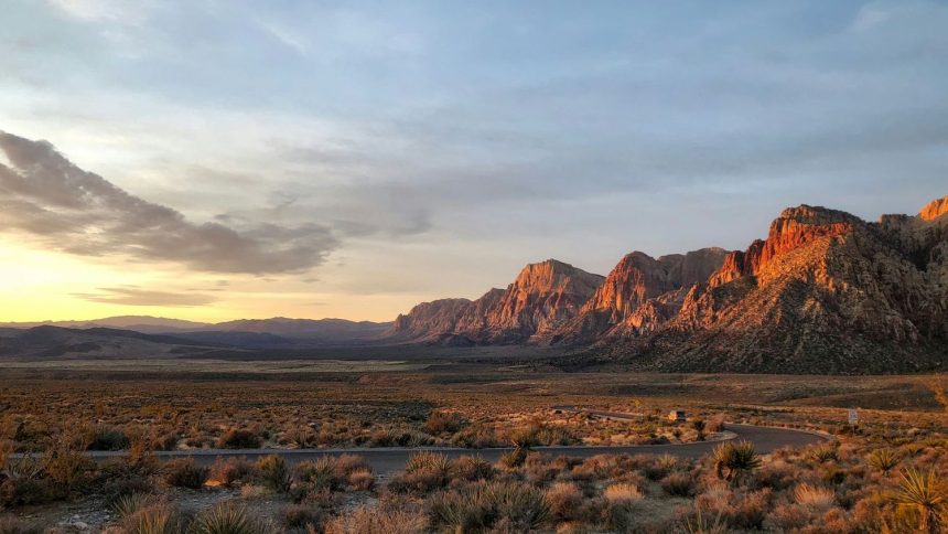 Planet X's art remains an outworldly Nevada treasure