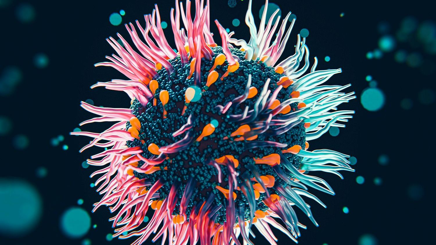 1 American returning from hantavirus-stricken cruise showing symptoms, another US passenger postive: HHS