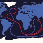 Two videos about the Atlantic Meriodonal Overturning Circulation (AMOC)