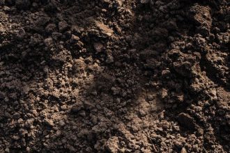 The Amazon Dark Earth Discovery That Could Be the Most Significant Climate Science Breakthrough Since the Discovery of the Carbon Cycle