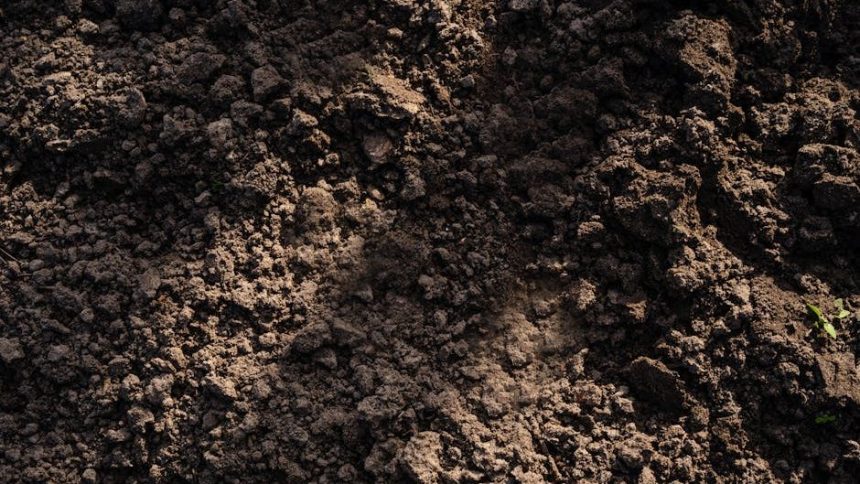 The Amazon Dark Earth Discovery That Could Be the Most Significant Climate Science Breakthrough Since the Discovery of the Carbon Cycle