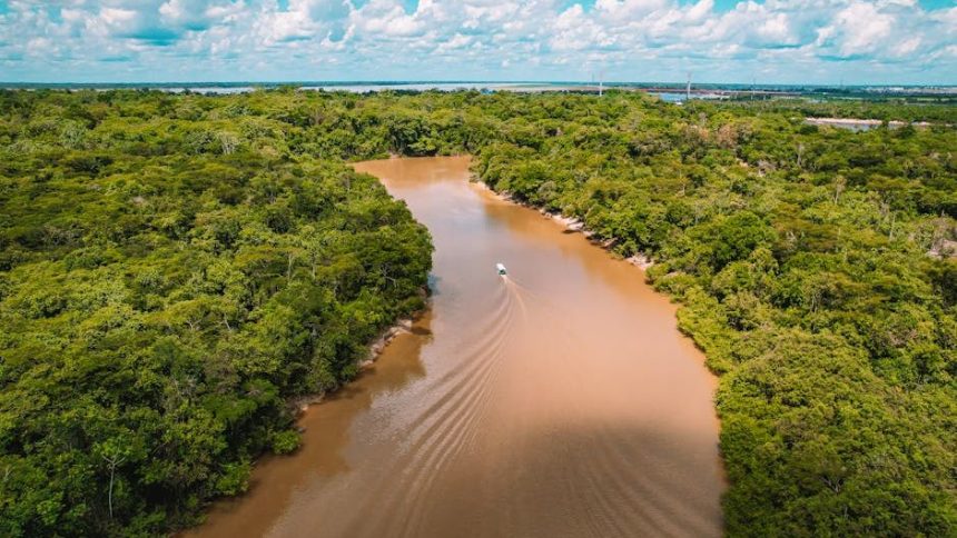 Indigenous groups warn Amazon oil expansion tests fossil fuel phase-out coalition