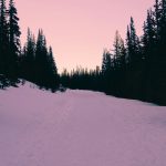 Rule that made conservation a ‘use’ of public lands canceled by Trump administration
