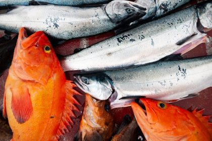 The Alaskan Fish Spot to Bring Fresh Seafood to the Valley