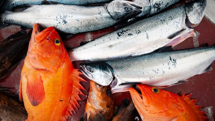 The Alaskan Fish Spot to Bring Fresh Seafood to the Valley