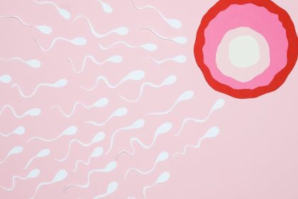 Feds propose rule to help employers expand fertility benefit coverage