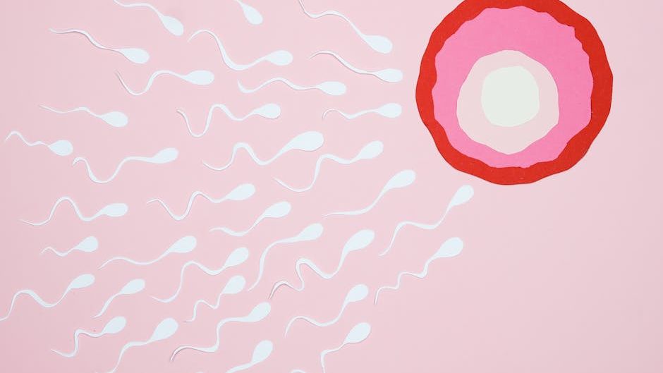Feds propose rule to help employers expand fertility benefit coverage