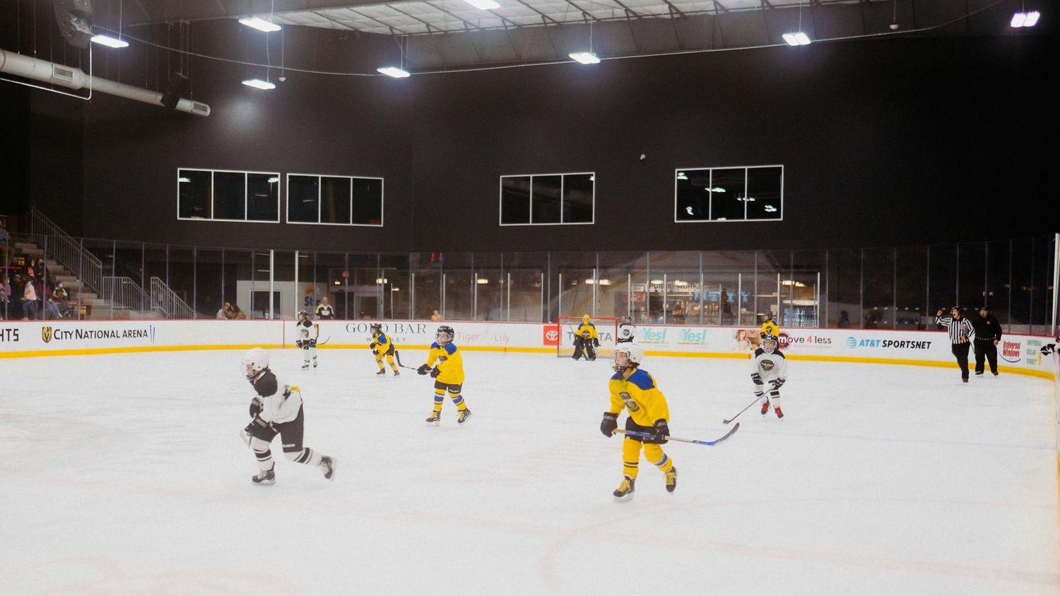 It's official! Professional women's hockey is coming to Las Vegas