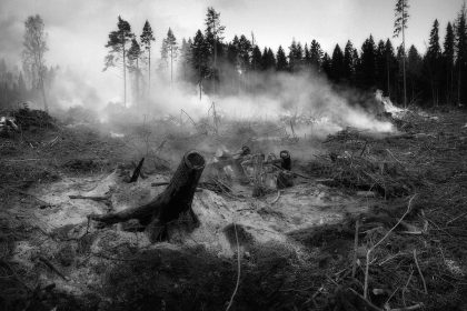 The long shadow of Maui’s wildfires