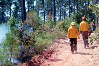 Trump Administration Kills Rule Putting Conservation of Public Lands on Equal Footing With Resource Extraction