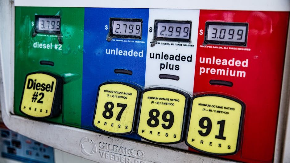 Financial Speculation in Capacity Markets Undermines the Energy Transition