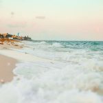 Something startling is happening in the Gulf of Mexico