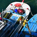 Kids race boats powered by sunshine alone
