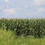 The Indiana community caught between coal and the data center boom