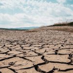 New Paper Shows Surges of Concentrated Precipitation Can Lead to Dryer Landscapes