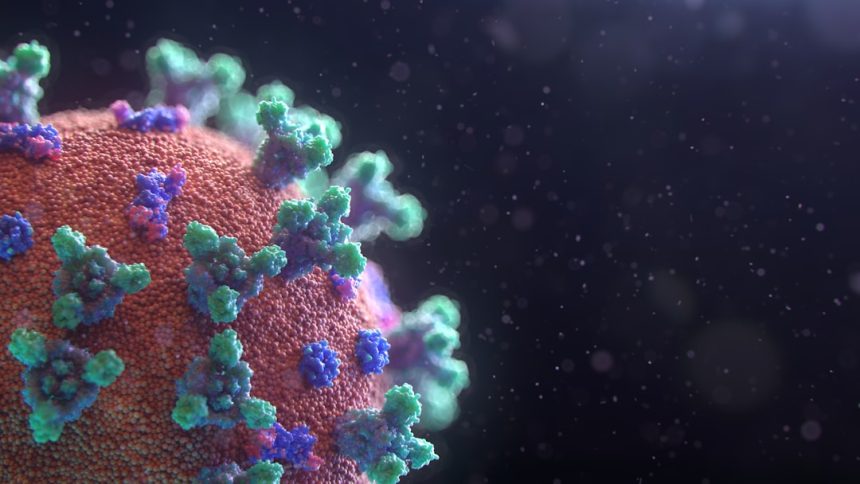 CDC monitoring 41 people for hantavirus after deadly cruise infection