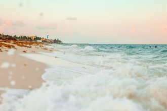 Something startling is happening in the Gulf of Mexico
