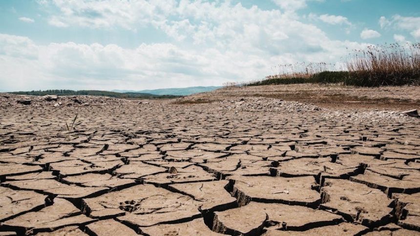 New Paper Shows Surges of Concentrated Precipitation Can Lead to Dryer Landscapes
