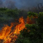 The long shadow of Maui’s wildfires