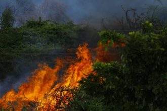 The long shadow of Maui’s wildfires