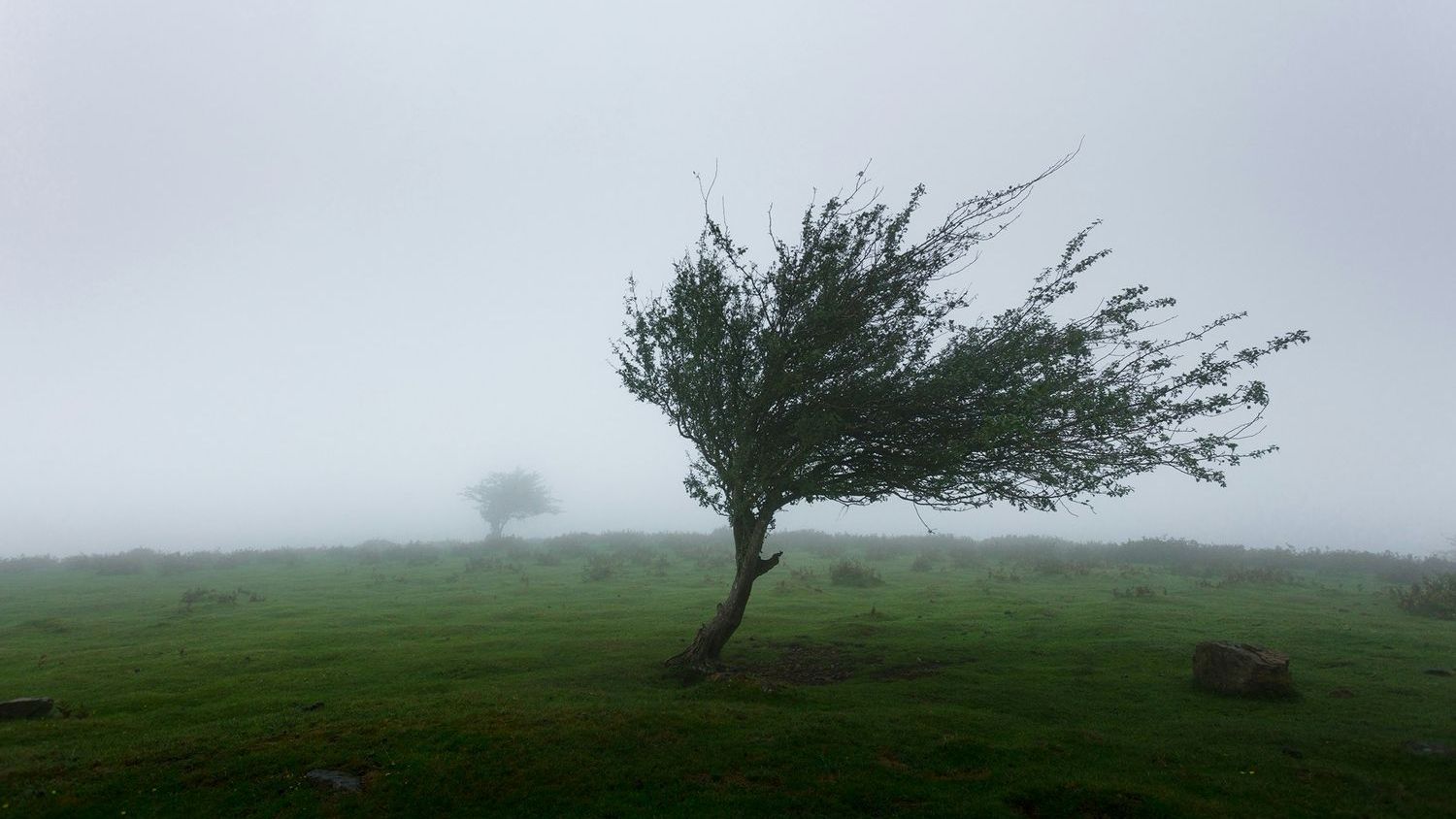 High Wind Warning Sunday