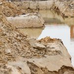 Desert Oasis or Mirage? The Reality of Sustainability in the Mojave