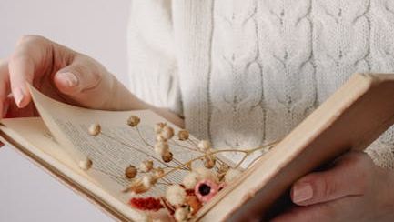 9 Why We Still Read Books We Already Know the Ending To