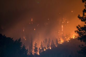 Santa Rosa Island fire burns more than 10,000 acres, threatening rare plants and animals
