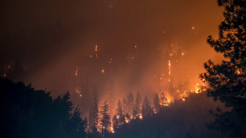 Santa Rosa Island fire burns more than 10,000 acres, threatening rare plants and animals