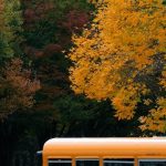 12 Lesser-Known But Fascinating Stories From American Schools