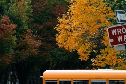 12 Lesser-Known But Fascinating Stories From American Schools