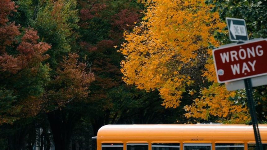 12 Lesser-Known But Fascinating Stories From American Schools