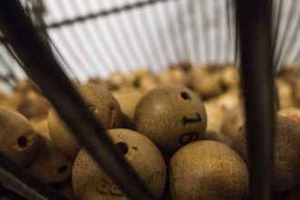 'I'm going to miss this place.' Southern Nevadans lament closing of Primm lottery store