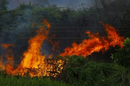 Brush fire spreads to 120 acres off Highway 190 east of Porterville, officials say